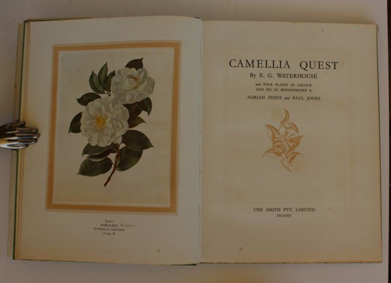 Item #16973 CAMELLIA QUEST; Illustrated by Paul Jones and Adrian Feint. E. G. WATERHOUSE.