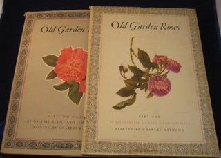 Item #17009 OLD GARDEN ROSES. Sacheverell SITWELL, Wilfred, BLUNT, James RUSSELL