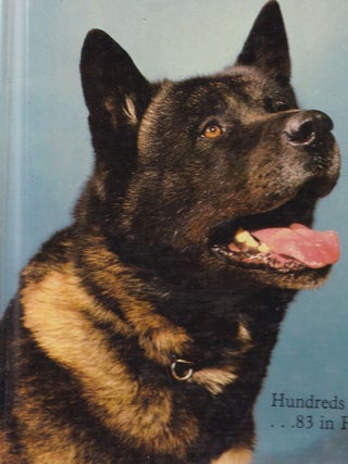 Item #18899 THE BOOK OF THE AKITA. Joan McDonald BREARLEY