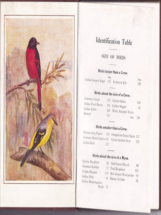 FAMILIAR BIRDS OF CEYLON.