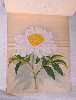 YOKOHAMA NURSERY CATALOGUE. Circa 1890- 1900. Two catalogues.