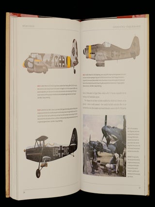 HITLER'S EAGLES. The Luftwaffe 1933-45,