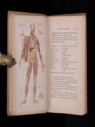 MAN: HIS STRUCTURE AND PHYSIOLOGY POPULARLY EXAMINED AND DEMONSTRATED.