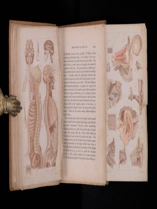 MAN: HIS STRUCTURE AND PHYSIOLOGY POPULARLY EXAMINED AND DEMONSTRATED.