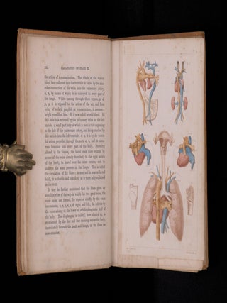 MAN: HIS STRUCTURE AND PHYSIOLOGY POPULARLY EXAMINED AND DEMONSTRATED.