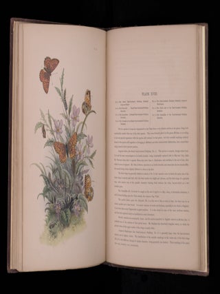 THE GENERA AND SPECIES OF BRITISH BUTTERFLIES.Described and Arranged According to the System Now Adopted in the British Museum.