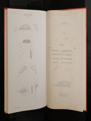 THE BUTTERFLY FAUNA OF CEYLON. 2nd (Abridged) Edition