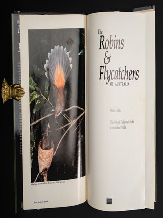 THE ROBINS AND FLYCATCHERS OF AUSTRALIA.