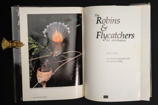 THE ROBINS AND FLYCATCHERS OF AUSTRALIA.