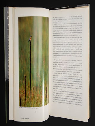 THE ROBINS AND FLYCATCHERS OF AUSTRALIA.