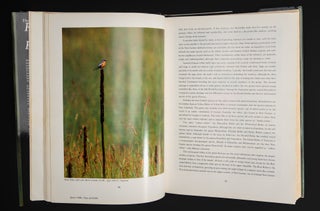 THE ROBINS AND FLYCATCHERS OF AUSTRALIA.