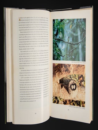 THE ROBINS AND FLYCATCHERS OF AUSTRALIA.