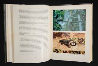 THE ROBINS AND FLYCATCHERS OF AUSTRALIA.