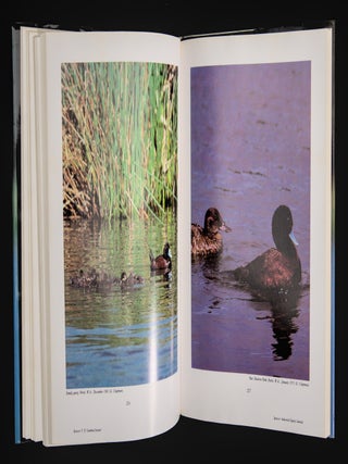 THE WATERBIRDS OF AUSTRALIA.