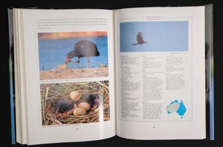THE WATERBIRDS OF AUSTRALIA.