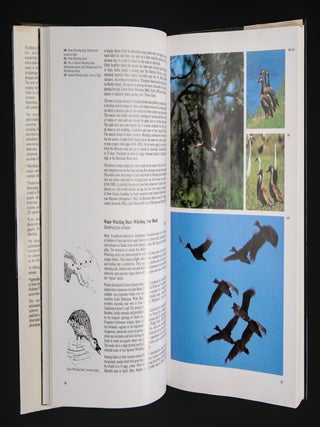 THE BIRDS OF PAPUA NEW GUINEA including the Bismarck Archipelago and Bougainville. Volume 1. Non Passerines.