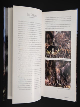 BIRDS OF PREY AND GROUND BIRDS.