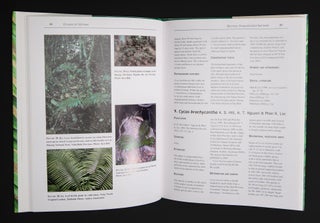 CYCADS OF VIETNAM.