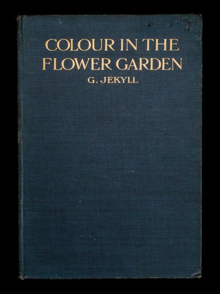 COLOUR IN THE FLOWER GARDEN.