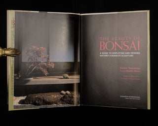 The Beauty of Bonsai A Guide to Displaying and Viewing Nature's Exquisite Sculpture.