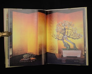 The Beauty of Bonsai A Guide to Displaying and Viewing Nature's Exquisite Sculpture.