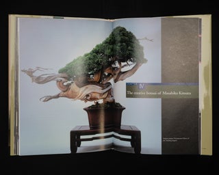 The Beauty of Bonsai A Guide to Displaying and Viewing Nature's Exquisite Sculpture.