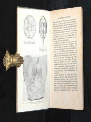 THE BOOK OF FOSSILS.