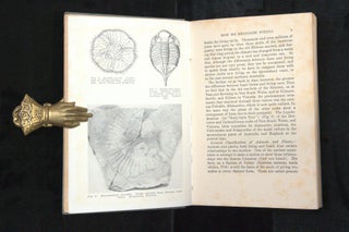 THE BOOK OF FOSSILS.
