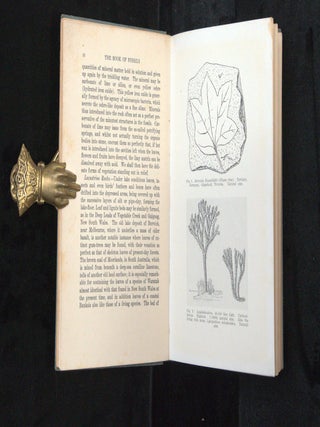 THE BOOK OF FOSSILS.