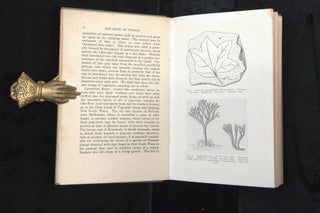 THE BOOK OF FOSSILS.
