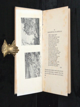 THE BOOK OF FOSSILS.