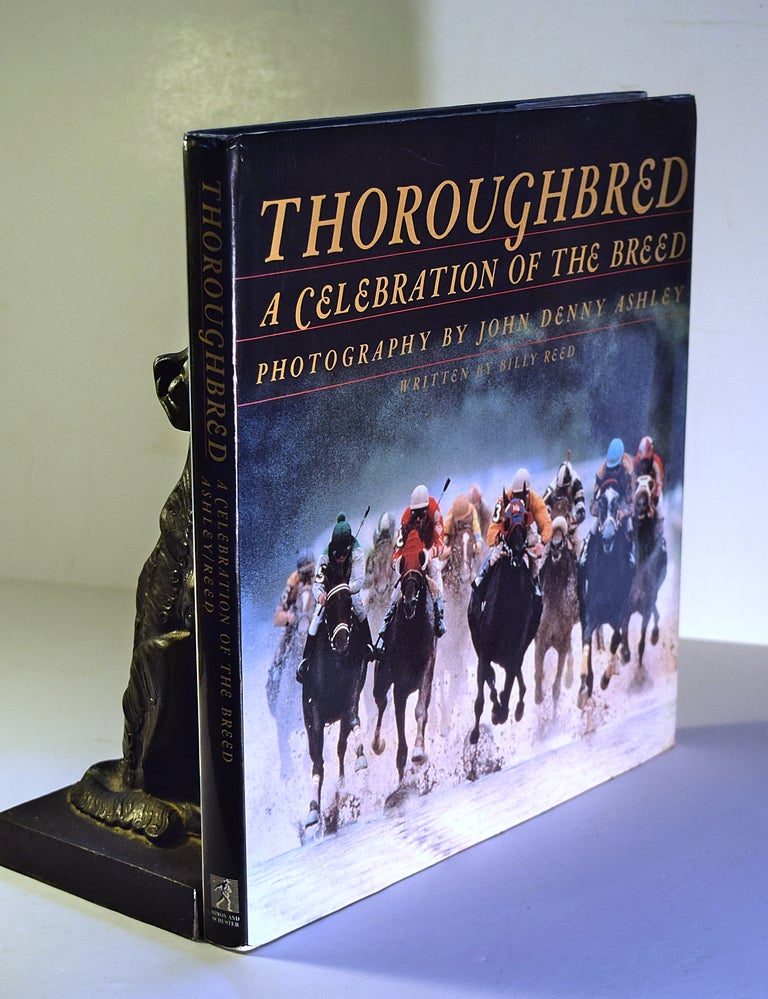 Item #23425 THOROUGHBRED . A Celebration of the Breed.; Photography by John Denny Ashley. Billy REED.