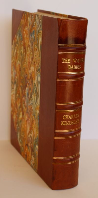 Item #24904 THE WATER BABIES.; Illustrated by Jessie Wilcox Smith. Charles KINGSLEY.